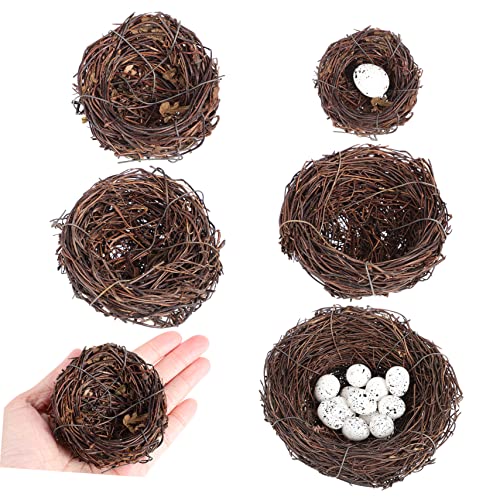 Yardenfun 5 Stück Handgefertigte Rattan Vogelnester mit 12 Künstlichen Eiern Deko für Garten Terrasse Ostern Heimwerker Realistische Vogelhaus Nestdekoration Yardenfun 5 Stück Handgefertigte Rattan Vogelnester mit 12 Künstlichen Eiern Deko für Garten Terrasse Ostern Heimwerker Realistische Vogelhaus Nestdekoration von Yardenfun
