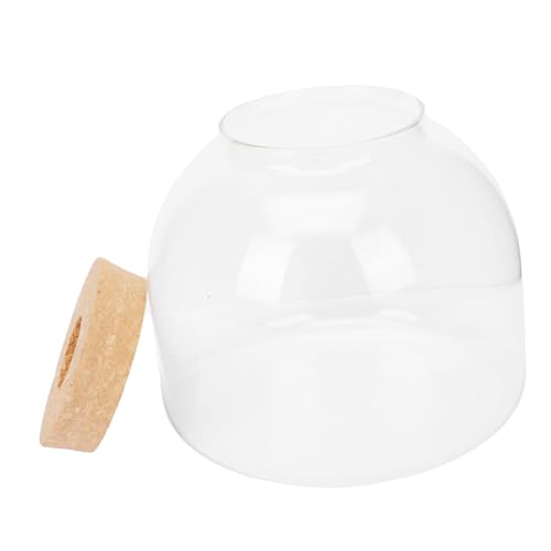 Yardenfun DIY Micro Landscape Glasflasche mit Moos Langlebiges Ökologisches Flaschengarten mit Holzverschluss Kompakte Tischdekoration für Kreative Pflanzen und Bürogestaltung von Yardenfun
