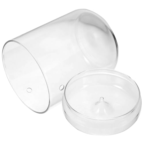 Yardenfun Glas Terrarium Pflanzgefäß Transparent Mikrolandschaft Vase DIY Pflanzenterrarium Glasbehälter für Moos Sukkulenten Bürodeko Wohnzimmer Balkon Yardenfun Glas Terrarium Pflanzgefäß Transparent Mikrolandschaft Vase DIY Pflanzenterrarium Glasbehälter für Moos Sukkulenten Bürodeko Wohnzimmer Balkon von Yardenfun