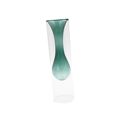 Yardenfun Glasvase Transparent Für Pflanzen Wohnvase Aus Borosilikatglas Durchsichtige Blumenvase Vasenbehälter Für Hydrokultur Grün Yardenfun Glasvase Transparent Für Pflanzen Wohnvase Aus Borosilikatglas Durchsichtige Blumenvase Vasenbehälter Für Hydrokultur Grün von Yardenfun