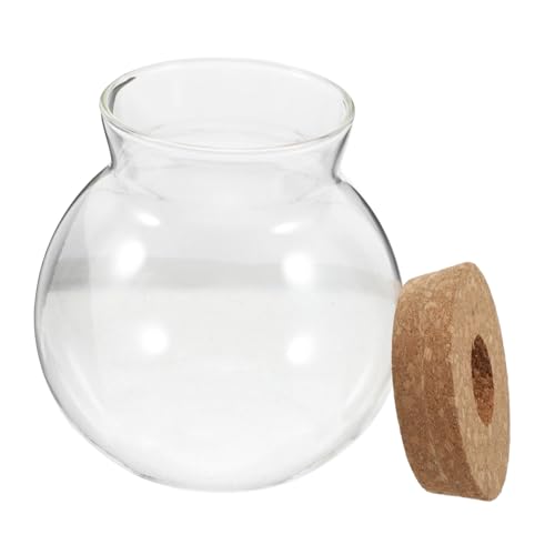Yardenfun Hydroponic Glasflasche mit Korken Transparentes Rundes Glas Terrarium Vielseitige Pflanzenvase für Hydrokultur Moos Sukkulenten Luftpflanzen Dekoratives Aquarium für Zuhause und von Yardenfun