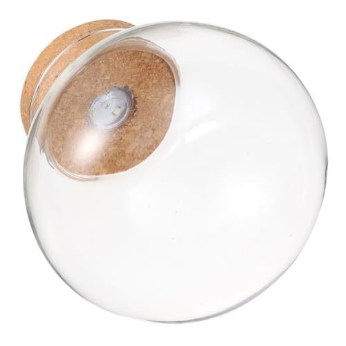Yardenfun Hydroponische Glas Pflanzvase mit Licht Transparenter Desktop-glasplanter mit Korkdeckel Runde Terrariumflasche Versiegeltes Micro-landschafts-eco-Glas für Pflanzen und von Yardenfun