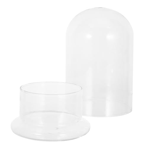 Yardenfun Klares Glas-Terrarium Hydroponik-vase für DIY Moosgärten Kleines Ökosystem Dekoratives Pflanzgefäß für Schreibtisch und Enge Räume von Yardenfun