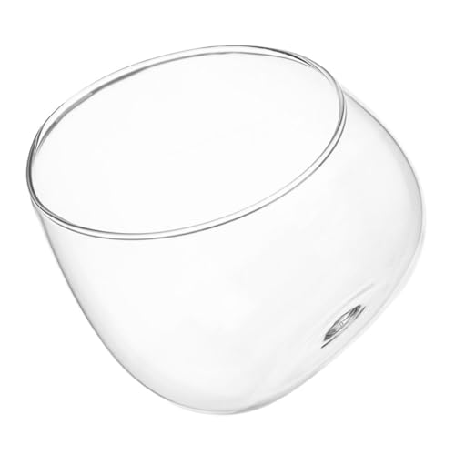 Yardenfun Klares Glasvase Mikrokosmos Pflanzgefäß Transparente Tischdeko Terrarium Wasserschale für Sukkulenten Moos und Blumen Wohnraumdekoration von Yardenfun