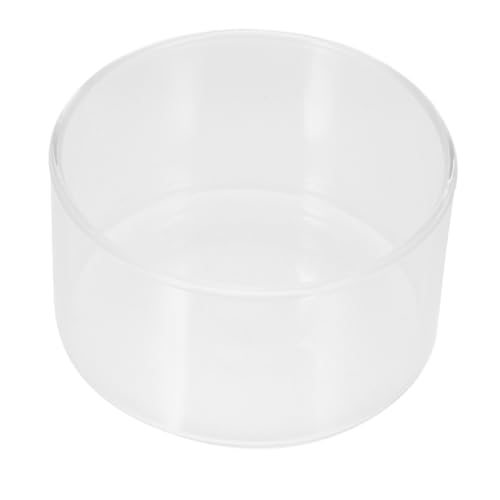 Yardenfun Klares Terrarium Pflanzgefäß Ökosystem Vase für Sukkulenten und Moos Terrarium Tischpflanzgefäß Transparent Pflegeleicht für Gesunde Pflanzenentwicklung von Yardenfun