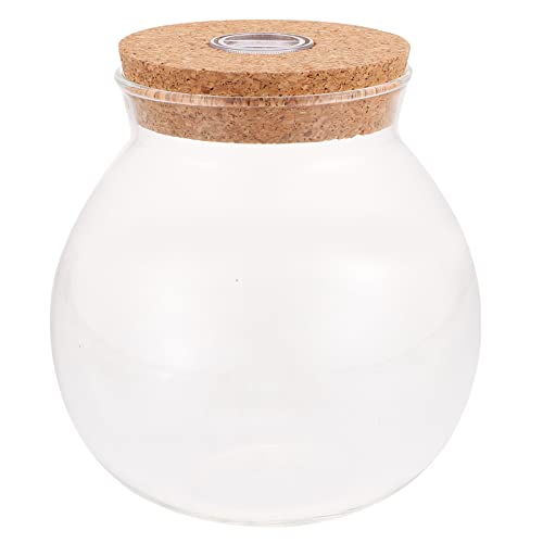 Yardenfun Landschaftsflasche mit LED Beleuchtung Dekorativer Micro Landschafts Container für DIY Moos Designs zur Zimmerdekoration und Kreativen Gestaltung Yardenfun Landschaftsflasche mit LED Beleuchtung Dekorativer Micro Landschafts Container für DIY Moos Designs zur Zimmerdekoration und Kreativen Gestaltung von Yardenfun