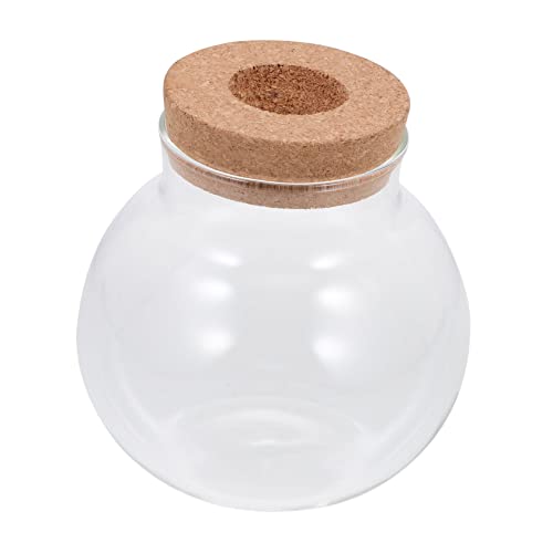 Yardenfun Micro Landschaft Flasche mit Glasdeckel Terrarium für DIY Ökologische Dekoration Kleine Landschaft Flasche Schlafzimmer Badezimmer von Yardenfun