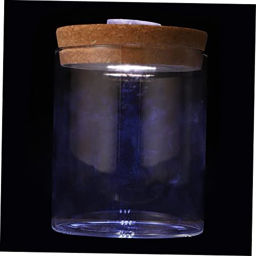 Yardenfun Mini-Aquarium Aus Borosilikatglas Runde Ökologische Flasche Mit Led-licht Kreative DIY-mikro-Landschaft Für Pflanzen Und Dekoration Yardenfun Mini-Aquarium Aus Borosilikatglas Runde Ökologische Flasche Mit Led-licht Kreative DIY-mikro-Landschaft Für Pflanzen Und Dekoration von Yardenfun
