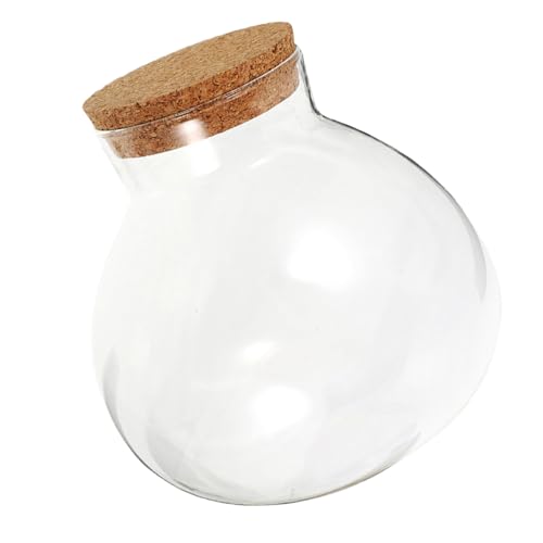 Yardenfun Ökologische Mikrolandschaftsflasche Knospenglas Luftpflanzen Terrarium Dekorationsglas Terrarium Desktop-Mikrolandschaftsflasche rundes Terrarienglas Glasflasche Kork Transparent Yardenfun Ökologische Mikrolandschaftsflasche Knospenglas Luftpflanzen Terrarium Dekorationsglas Terrarium Desktop-Mikrolandschaftsflasche rundes Terrarienglas Glasflasche Kork Transparent von Yardenfun