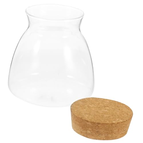 Yardenfun Terrarium Flasche mit Holzstopfen Kleines Transparentes Landschaftsgefäß für Hydroponikpflanzen Dekoratives Terrarium für Zimmerpflanzen und Sukkulenten von Yardenfun
