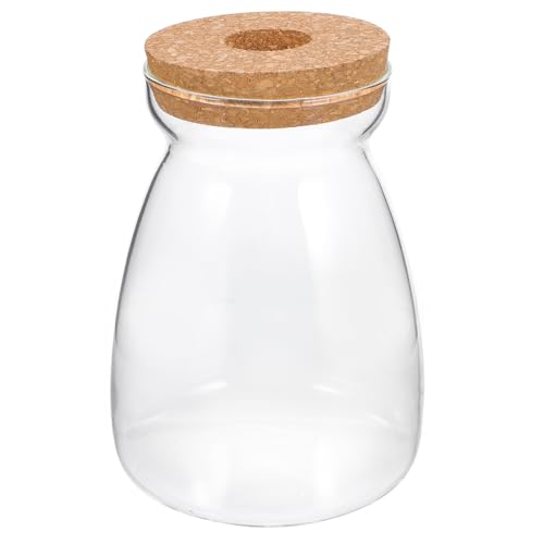 Yardenfun Terrariumgefäß aus Großes Ökosystem Terrarium Hydrokultur Pflanzbehälter für Pflanzen Dekorativer Glasterrarium mit Deckel Transparentes Pflanzenterrarium für Innenräume Yardenfun Terrariumgefäß aus Großes Ökosystem Terrarium Hydrokultur Pflanzbehälter für Pflanzen Dekorativer Glasterrarium mit Deckel Transparentes Pflanzenterrarium für Innenräume von Yardenfun