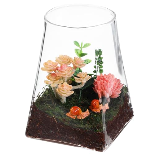 Yardenfun Terrarium Øcm Transparenter Pflanzenbehälter für Mikrolandschaften Kreative Tischdekoration für Blumen und Sukkulenten ohne Deckel Design Yardenfun Terrarium Øcm Transparenter Pflanzenbehälter für Mikrolandschaften Kreative Tischdekoration für Blumen und Sukkulenten ohne Deckel Design von Yardenfun