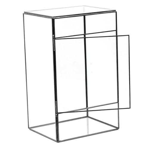 Yardenfun Terrarium für Sukkulenten und Luftpflanzen Transparentes Moosterrarium für DIY Landschaften für Wohnraumdekoration und Geschenkideen und Langlebig Yardenfun Terrarium für Sukkulenten und Luftpflanzen Transparentes Moosterrarium für DIY Landschaften für Wohnraumdekoration und Geschenkideen und Langlebig von Yardenfun