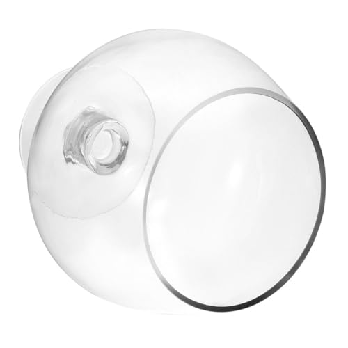 Yardenfun Transparenter Glas-fischglas Vase Großer Betta-Tank für Schreibtisch Dekoration Stabiles Kompaktes umweltfreundliches Aquarium für Büro und Zuhause mit Stilvollem Goblet-Design von Yardenfun