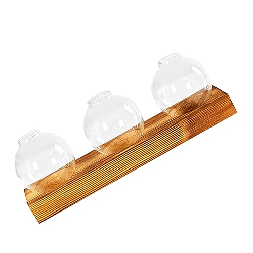 Yardwe 3-in-1-anzuchtgläser-set Mit Holzsockel Hydrokultur Für Zimmerpflanzen Mit Glasterrarien von Yardwe