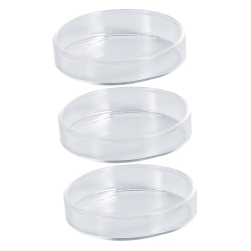 3St Garnelenfutterschale aus Glas Fish Tank Feeding Bowl Wurmfutterbecher Süßwasser-Tray-Futter Gecko-Futterschale Futternapf für Garnelen Garnelenfutter runde Gerichte Yardwe von Yardwe