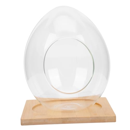 Yardwe Elegante Grüne Sukkulenten-glasflasche Terrarium mit Holzsockel für Den Schreibtisch Zuhause Büro Dekoration von Yardwe