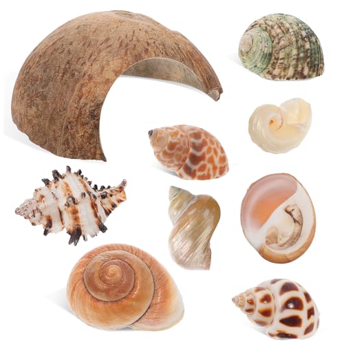 Yardwe Natürliche Einsiedlerkrebs Muschel Lebensraum Kokosnuss Muschel Versteck Reptilien Verstecke Fisch Versteck Höhle Aquarium Yardwe Natürliche Einsiedlerkrebs Muschel Lebensraum Kokosnuss Muschel Versteck Reptilien Verstecke Fisch Versteck Höhle Aquarium von Yardwe