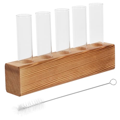 Yardwe Hydroponischer Pflanzenständer Pflanzenvase Aus Glas Mit Anzuchtstation Für Büroküche Yardwe Hydroponischer Pflanzenständer Pflanzenvase Aus Glas Mit Anzuchtstation Für Büroküche von Yardwe