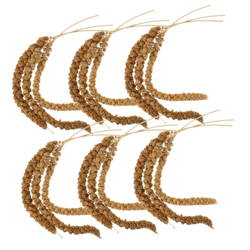 Yardwe 1 Satz Naturale Papageienfutter für Nymphensittiche Gesunde Vogelernährung mit Natürlichen Hirsekolben für Käfigzubehör und Kleine Haustiere Yardwe 1 Satz Naturale Papageienfutter für Nymphensittiche Gesunde Vogelernährung mit Natürlichen Hirsekolben für Käfigzubehör und Kleine Haustiere von Yardwe