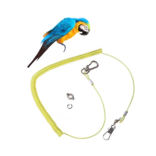 Yardwe Papagei Fliegen 1pc Vogel Leine Ausbildung Seil Elastische String Haustier Papagei Yardwe Papagei Fliegen 1pc Vogel Leine Ausbildung Seil Elastische String Haustier Papagei von Yardwe