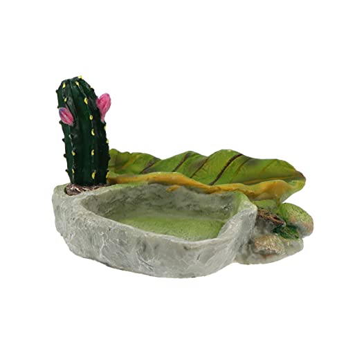 Yardwe 1 Stück Haustier -Fütterungsschale Gecko Futternapf für Reptilien Terrarienschale Schildkröte schleichtiere Haustierkäfig Futternapf für Eidechsen Kunstharz Green Yardwe 1 Stück Haustier -Fütterungsschale Gecko Futternapf für Reptilien Terrarienschale Schildkröte schleichtiere Haustierkäfig Futternapf für Eidechsen Kunstharz Green von Yardwe