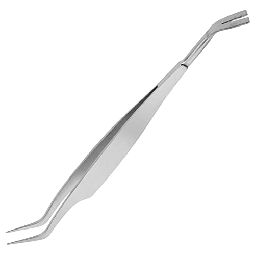 Yardwe 1 Stück Haustierhund Läuseclip Pinzette Clip Für Hund Clip Entfernen Edelstahlclip Heimtierbedarf Clip Für Haustier Haustierclip Rostfreier Stahl Yardwe 1 Stück Haustierhund Läuseclip Pinzette Clip Für Hund Clip Entfernen Edelstahlclip Heimtierbedarf Clip Für Haustier Haustierclip Rostfreier Stahl von Yardwe