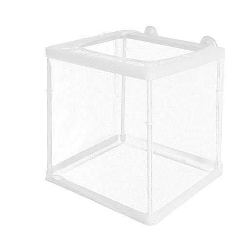 Yardwe Aquarien-zuchtbox Für Fische Fischzuchtbecken Mit Isolationsbox Brutkasten Aus Hochwertigem Netz Und Klebematerial Für Kleine Trächtige Und Neugeborene Fische Leicht Zu Reinigen Yardwe Aquarien-zuchtbox Für Fische Fischzuchtbecken Mit Isolationsbox Brutkasten Aus Hochwertigem Netz Und Klebematerial Für Kleine Trächtige Und Neugeborene Fische Leicht Zu Reinigen von Yardwe