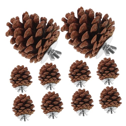 Yardwe Hängendes Papagei-nahrungssuchspielzeug 10 Stück Kiefernzapfen-kauspielzeug Vogel-kauspielzeug Aus Holz Für Papageien von Yardwe