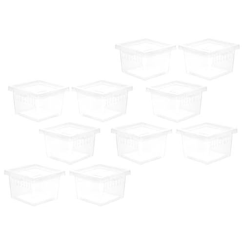 Yardwe 10st Futterbox Für Haustiere Reptilienterrarium Reptilien-wärmelampe Transportbehälter Für Reptilien Eidechsenbecken Reptilienpflanzen Crested Gecko Terrarium Stand Leopard Plastik von Yardwe
