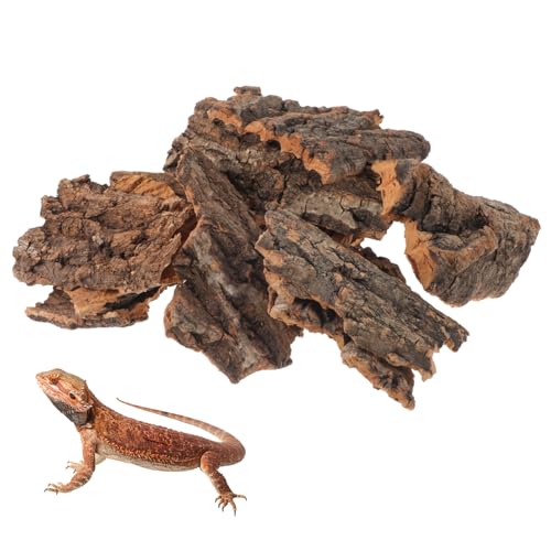 Yardwe 14 Stück Teiliges für Reptilien Terrarien Versteck Hütte Kletterplattform Dekoration für Schildkröten Echsen und Schlangen Vielseitig Einsetzbar Erkundung und Gesundheit Yardwe 14 Stück Teiliges für Reptilien Terrarien Versteck Hütte Kletterplattform Dekoration für Schildkröten Echsen und Schlangen Vielseitig Einsetzbar Erkundung und Gesundheit von Yardwe