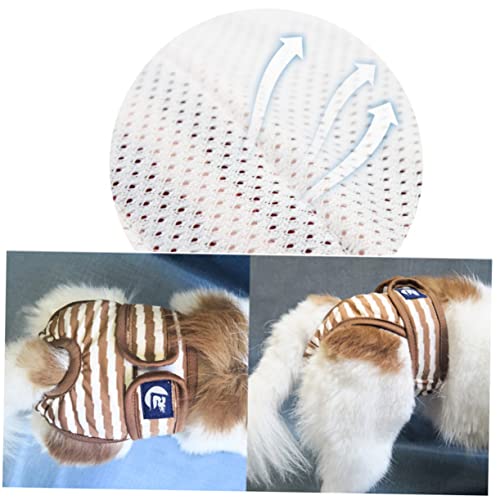 Yardwe 1stk Haustierwindeln Wiederverwendbare Hundewindeln Weibliche Wegwerfhundewindeln Hundehöschen Physiologische Shorts Für Hunde Welpe Windelhose Kleiner Hund Yardwe 1stk Haustierwindeln Wiederverwendbare Hundewindeln Weibliche Wegwerfhundewindeln Hundehöschen Physiologische Shorts Für Hunde Welpe Windelhose Kleiner Hund von Yardwe