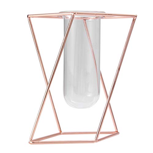 Yardwe 1Stk Pflanzgefäß mit Metallrahmen Pflanzendekorationen klarer Blumentopf minimalistischer Luftpflanzer Anlage Wasser valwntinstagsgeschenk pflanzgefäße glasgefäß Blumenröhre Golden Yardwe 1Stk Pflanzgefäß mit Metallrahmen Pflanzendekorationen klarer Blumentopf minimalistischer Luftpflanzer Anlage Wasser valwntinstagsgeschenk pflanzgefäße glasgefäß Blumenröhre Golden von Yardwe