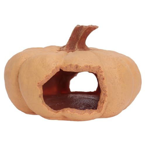 Yardwe Kürbis Reptil Für Halloween Aquarium Schmuck Hof Dekoration Kreative Landschaft Zubehör Yardwe Kürbis Reptil Für Halloween Aquarium Schmuck Hof Dekoration Kreative Landschaft Zubehör von Yardwe