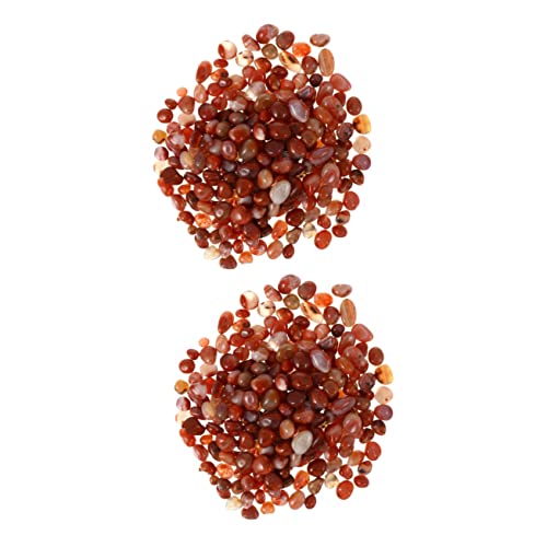 Yardwe 2 Packungen Sukkulenten-Pflastersteine Glasfischglasvase Ästhetische Raumdekoration Natürliche Heimdekoration Zimmerpflanzen Aquarienpflanzen Polierte Kieselsteine von Yardwe