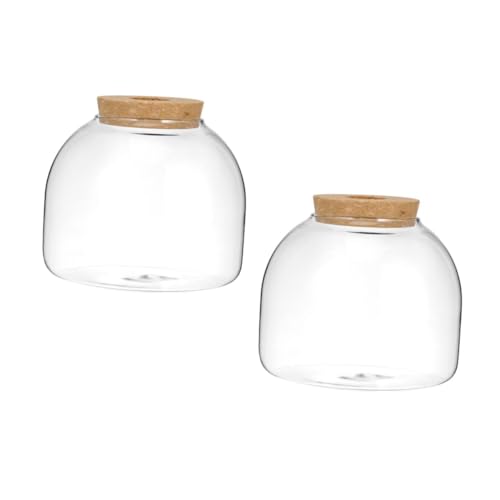 Yardwe 2 Stück Micro Landscape Terrarium Glasvase für Hydrokultur Pflanzen Kleines Dekoratives Aquarium Transparentes Glasgefäß für Moos Flaschengarten Wohnraumdekoration und DIY von Yardwe