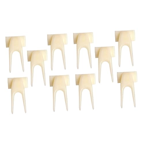 Yardwe 20stücke Vogelfütterungs-obstgabel Futterwerkzeug Futterzubehör Gabel Zum Füttern Papageien-obstgabel Für Saubere Und Gesunde Vogelfütterung Mehrfach Verwendbar Einfach Zu Reinigen von Yardwe