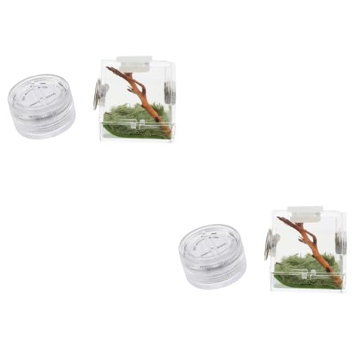 Yardwe 2Er-Box Springspinnen-Zuchtbox großer Laufstall Spinnenzubehör Haustierzaun Reptilien Spinnenhaltungsbox Kleine Spinnenbox gehäuse Springender Spinnenlebensraum Spinnenhaus Acryl Yardwe 2Er-Box Springspinnen-Zuchtbox großer Laufstall Spinnenzubehör Haustierzaun Reptilien Spinnenhaltungsbox Kleine Spinnenbox gehäuse Springender Spinnenlebensraum Spinnenhaus Acryl von Yardwe