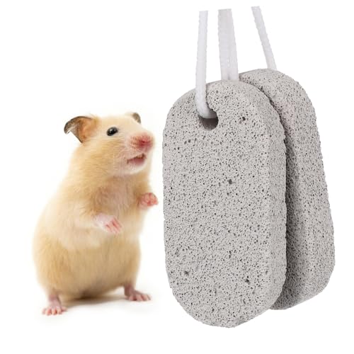 Yardwe 2stücke Zahnarztstein Für Kleine Haustiere Mineralien Kalziumstein Für Hamster Kaninchen Eichhörnchen Und Andere Nager Sicheres Kauen Zur Zahnreinigung von Yardwe