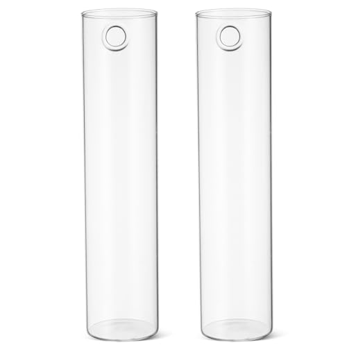 Yardwe 2pcs Hanging Terrarium Wall Vases Hanging Cylinder Vases Glass Wall Planters Hanging Glass Tubes Vases Wall Decors (Large Round Tube) von Yardwe