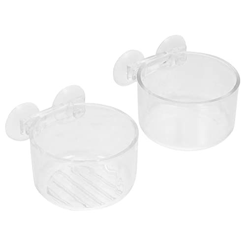 Yardwe 2st Fütterungsbecher Lebensmittelbehälter Aus Glas Werkzeug Zur Fütterung Von Blutwürmern Wasserpflanze Tasse Behälter Für Lebensmittelgläser Terrarium Weiß Plastik Aquarium Futter von Yardwe