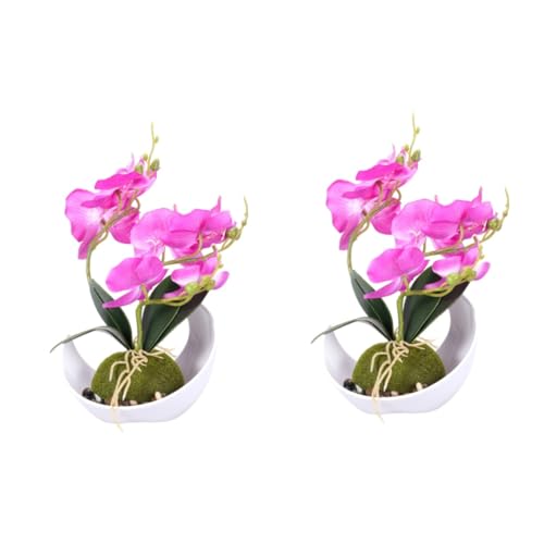 Yardwe 2st Künstliche Topfpflanzen Kunstpflanze Anlage Künstliche Pflanzen Kleine Pflanzen Zur Dekoration Bonsai Violett Mond von Yardwe