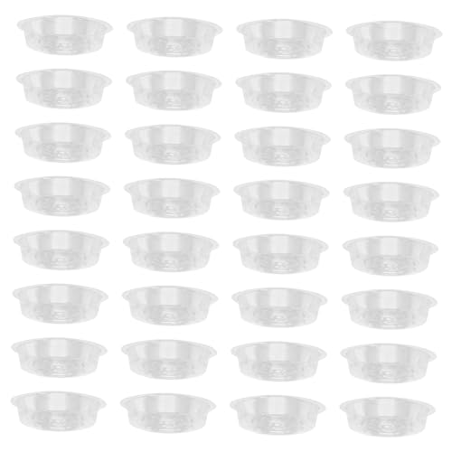 Yardwe 30 Stück Blumentopf Tablett Anlage Untertasse für das Kinderzimmer System pflanzenpflege pflanzenzubehör zimmerpflanzen Pflanzenteller Untertasse Pflanzenuntersetzer für drinnen Yardwe 30 Stück Blumentopf Tablett Anlage Untertasse für das Kinderzimmer System pflanzenpflege pflanzenzubehör zimmerpflanzen Pflanzenteller Untertasse Pflanzenuntersetzer für drinnen von Yardwe