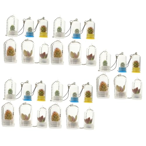 Yardwe 30 STK Schlüsselanhänger Saftige Pflanzgefäße Golddekor Ausbreitung Wandbehang Miniatur-pflanzgefäß-dekor Saftiges Terrarium Hängende Terrarienvase Baby Glas Pflanze Modell von Yardwe