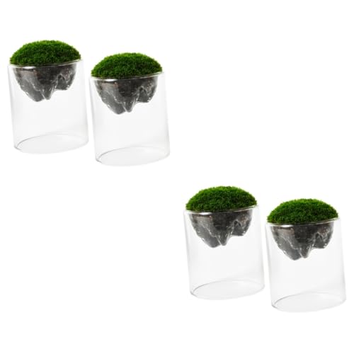 Yardwe 4 Stück Moosflasche klare Vasen Kleiderbügelständer Terrarium Glasflaschen Pflanzendekor Glasflasche für Moos Landschaftsglasflasche selber Machen hängend Phiole von Yardwe