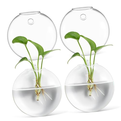 Yardwe 4stücke Wandvase Transparent Hängend Blumentopf Pflanzen Halter Wand Dekoration Hydrokulturpflanzen Anzuchtvasen Für Wohnzimmer von Yardwe