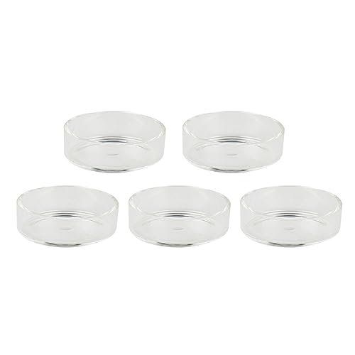Yardwe 5stücke Teiliges Transparente Futter-Schalen Für Garnelen Aus Hochwertigem Kristallglas Multifunktionale Fütterungsschalen Für Aquarien Für Garnelen Und Reptilien Dekorativer von Yardwe