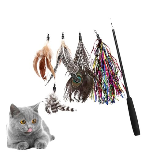 Yardwe Katzenangel – 6 Stück Interaktives Katzenspielzeug mit Austauschbaren Federn und Ergonomischem Griff für Katzentraining und Spielspaß Yardwe Katzenangel – 6 Stück Interaktives Katzenspielzeug mit Austauschbaren Federn und Ergonomischem Griff für Katzentraining und Spielspaß von Yardwe