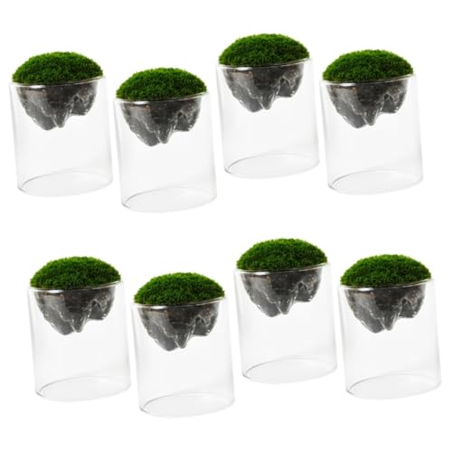Yardwe 8 STK Moosflasche Terrarium Glasflaschen Luftfarnhalter zum Aufhängen Glas für Tischplatte Pflanzendekor Mikro-Landschaftsflaschenbehälter DIY Glasflasche Anlage von Yardwe