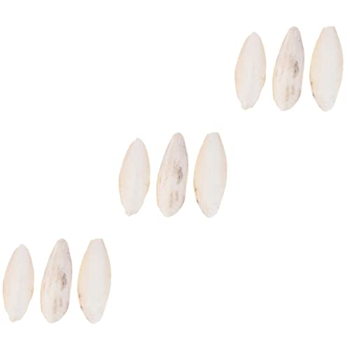 Yardwe 9 STK Cuttlebone Molares Vogelspielzeug Für Sittiche Leckereien Für Sittiche Kuschelknochen Für Zubehör Für Sittichkäfige Cuttlebone Kauspielzeug Jaulas para Hamster Beige Yardwe 9 STK Cuttlebone Molares Vogelspielzeug Für Sittiche Leckereien Für Sittiche Kuschelknochen Für Zubehör Für Sittichkäfige Cuttlebone Kauspielzeug Jaulas para Hamster Beige von Yardwe